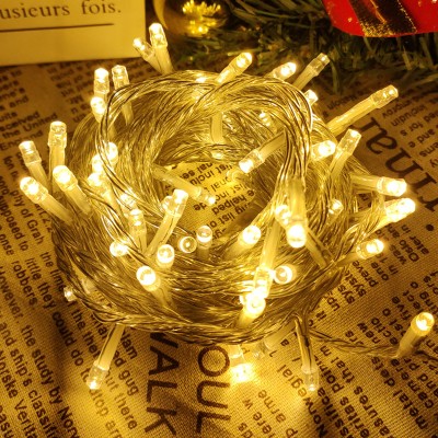 LED String Light STN180picture3