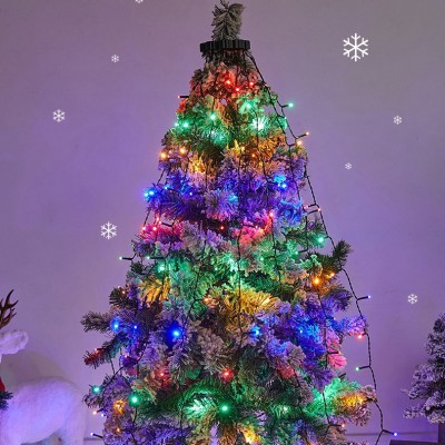 LED Christmas Light XMS300picture2