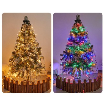 LED Christmas Light XMS300picture5