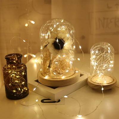 LED String Light STN240picture4