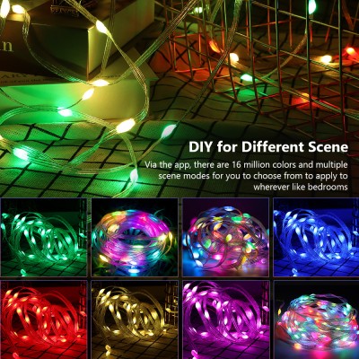 LED String Light STN130picture3