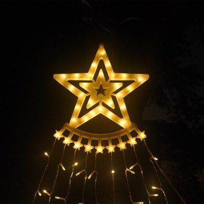 LED Christmas Light XMS200picture4