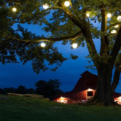 Disco Ball Lamp BAL100picture2