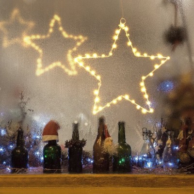 LED Christmas Light XMS600picture3