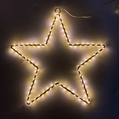 LED Christmas Light XMS600picture4