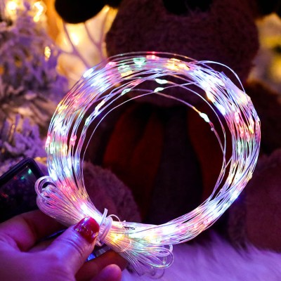 LED String Light STN310picture2