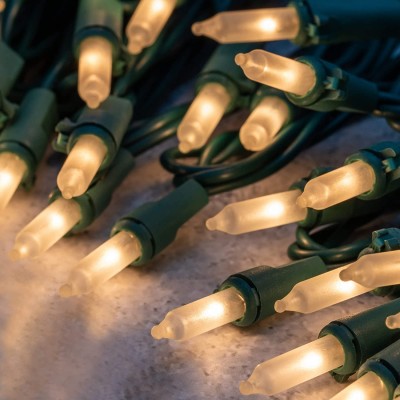 LED String Light STN260picture2