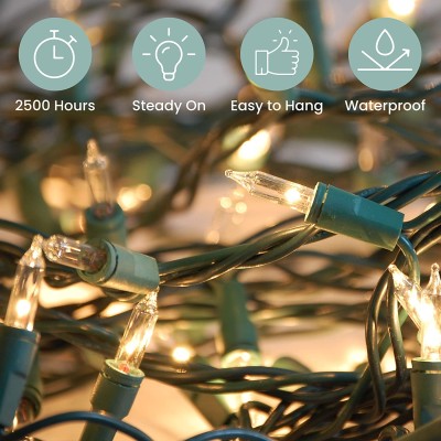LED String Light STN260picture5