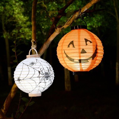 Halloween Light HWL400picture2