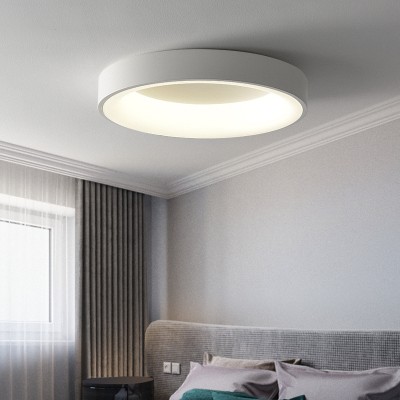 LED Ceiling Light CL220picture2