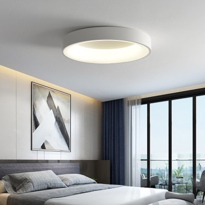 LED Ceiling Light CL220picture4