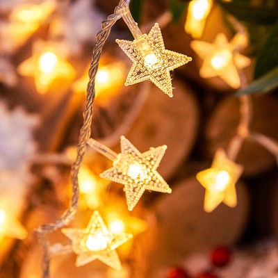 LED Christmas Light XMS900picture2