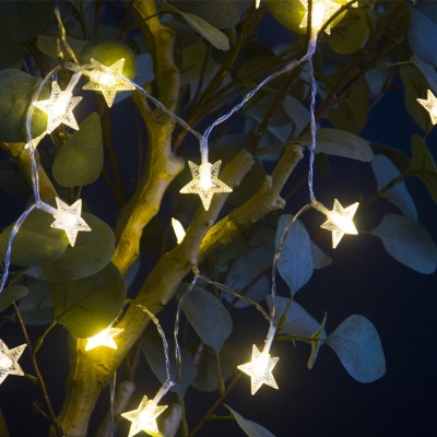 LED Christmas Light XMS900picture3
