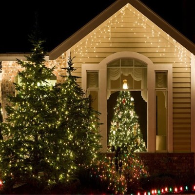 LED String Light STN320picture2