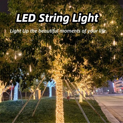 LED String Light STN320picture5