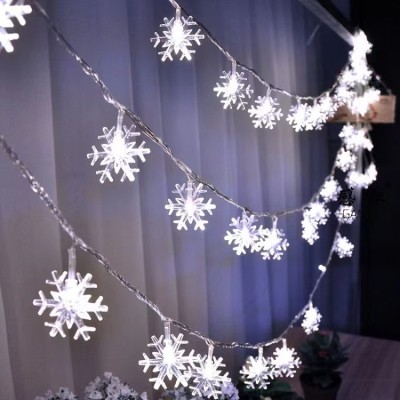 LED String Light STN150picture5