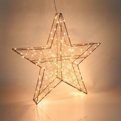 LED String Light STN300picture2