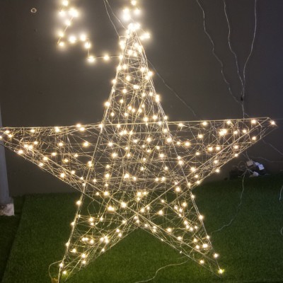 LED String Light STN300picture4