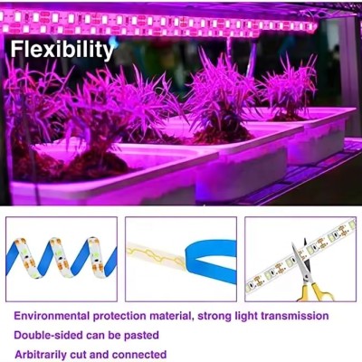 LED Grow Light GRW110picture2