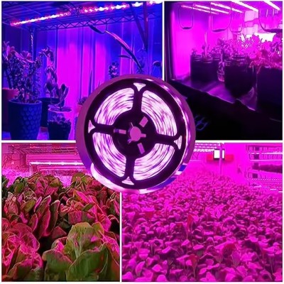 LED Grow Light GRW110picture4
