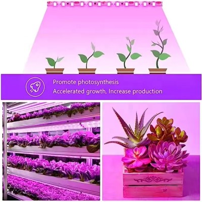LED Grow Light GRW110picture5