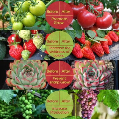 LED Grow Light GRW110picture6