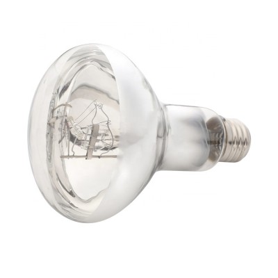 Mercury Lamp MER100picture1