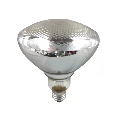 LED Poultry Light PUL100picture3