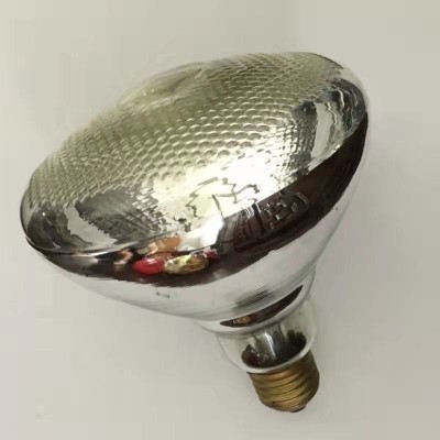 LED Poultry Light PUL100picture5