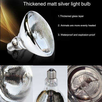 LED Poultry Light PUL100picture6