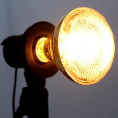 Halogen Lamp HAL100picture3