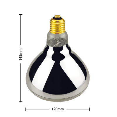 Halogen Lamp HAL100picture6