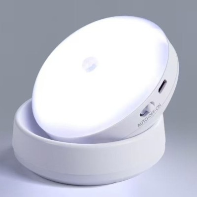 LED Induction Light NDL220picture3