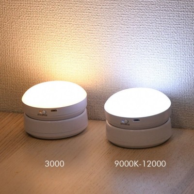 LED Induction Light NDL220picture4