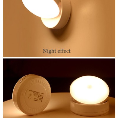 LED Induction Light NDL220picture6