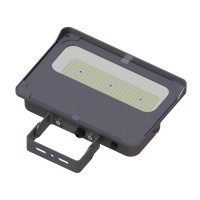 LED Flood Light FL890