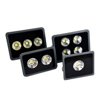 LED Flood Light FL900
