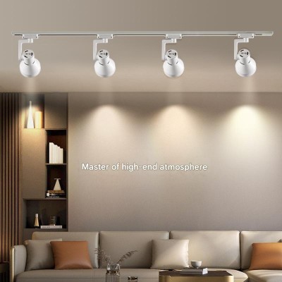 LED Track Light TR230picture5
