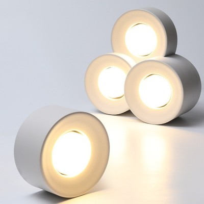 7W/10W LED Downlight DL1010picture2
