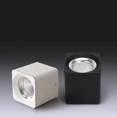 7W/12W/18W/25W LED Downlight DL1180picture2