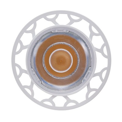 30W/35W LED PAR Light SP700picture2