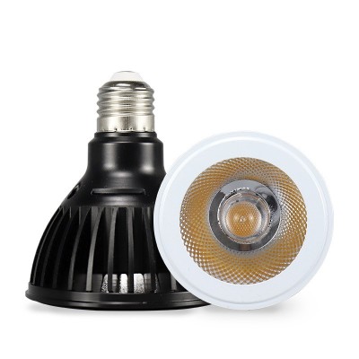 10W/20W/30W LED PAR Light SP710picture2