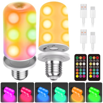 DC5V USB Smart Light Bulb LED Night Light SML500picture4