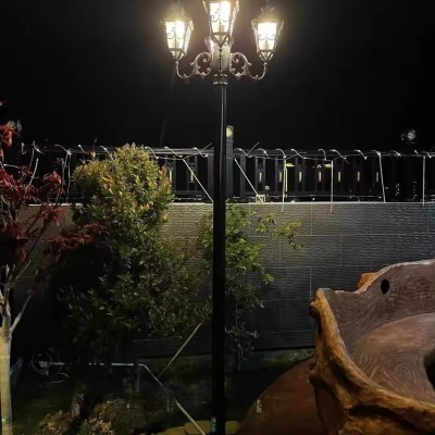 LED Garden Landscape Lights GAR240picture7