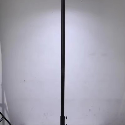 IP65 3M 2M High Pole LED Solar Garden Light SGL460picture6