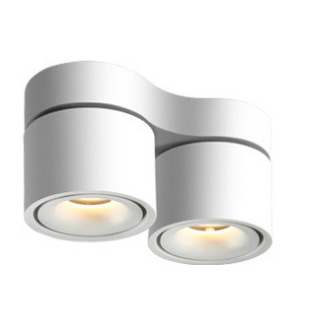 9W 18W 24W 30W Rotatable LED Ceiling Downlight DL1200picture2
