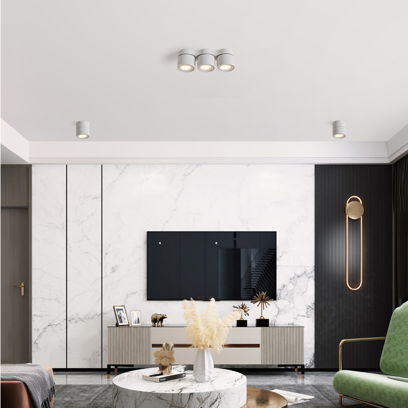 9W 18W 24W 30W Rotatable LED Ceiling Downlight DL1200picture4
