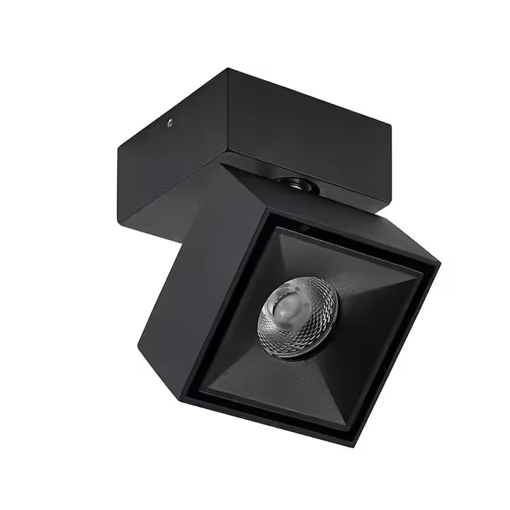 Dimmable Rotatable Adjustable 10W LED Ceiling Down Light DL1210picture2