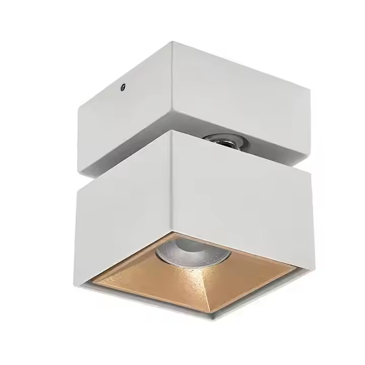 Dimmable Rotatable Adjustable 10W LED Ceiling Down Light DL1210picture6