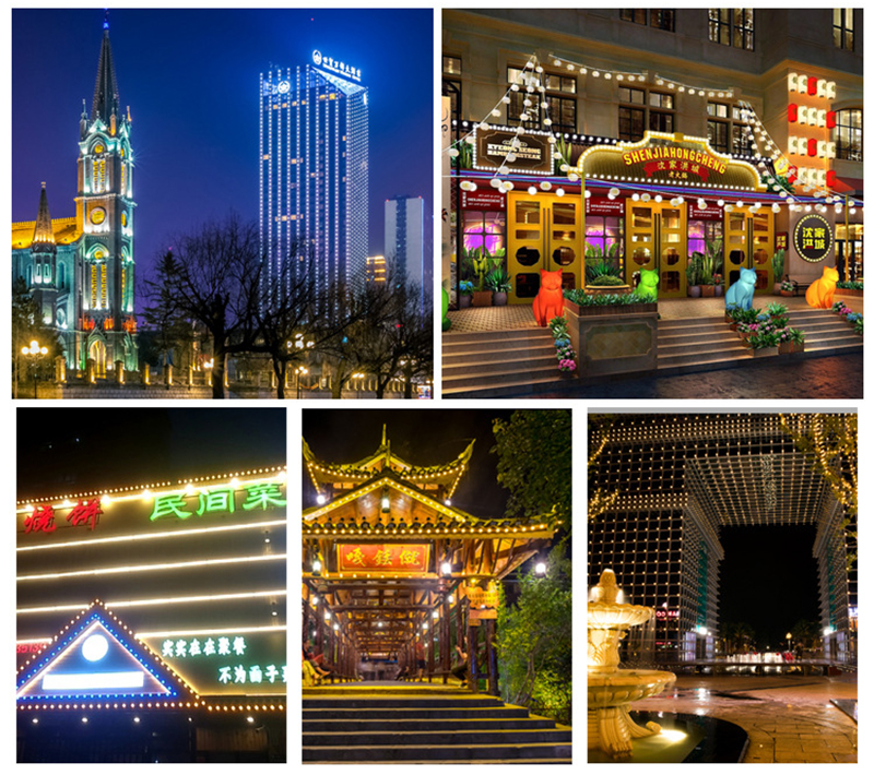 Outdoor 50mm Pixel Point Light Addressable DC24V Permanent Holiday LED String For Building Decoration